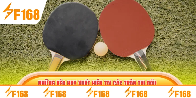 Những kèo hay xuất hiện tại các trận thi đấu bóng bàn Những kèo hay xuất hiện tại các trận thi đấu bóng bàn