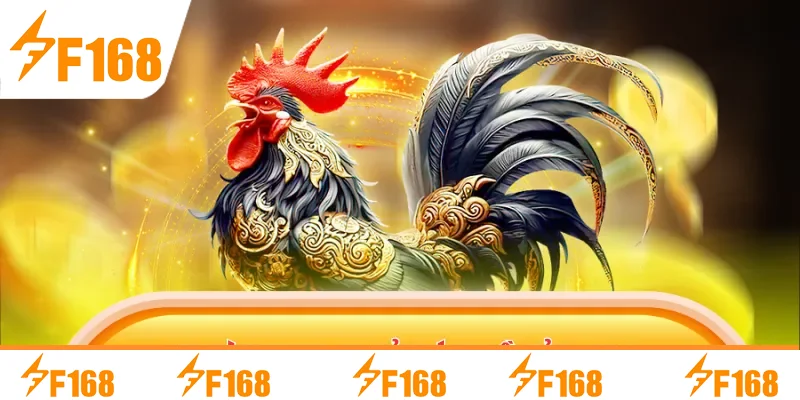 Quy trình tham gia giải trí tại nền tảng F168 Quy trình tham gia giải trí tại nền tảng F168