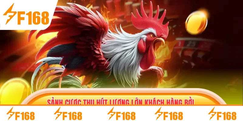 Sảnh cược thu hút lượng lớn khách hàng bởi nhiều lợi ích Sảnh cược thu hút lượng lớn khách hàng bởi nhiều lợi ích