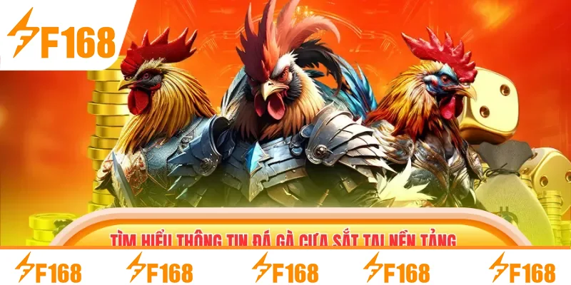 Tìm hiểu thông tin đá gà cựa sắt tại nền tảng F168 Tìm hiểu thông tin đá gà cựa sắt tại nền tảng F168